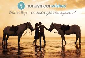 Honeymoon Wishes