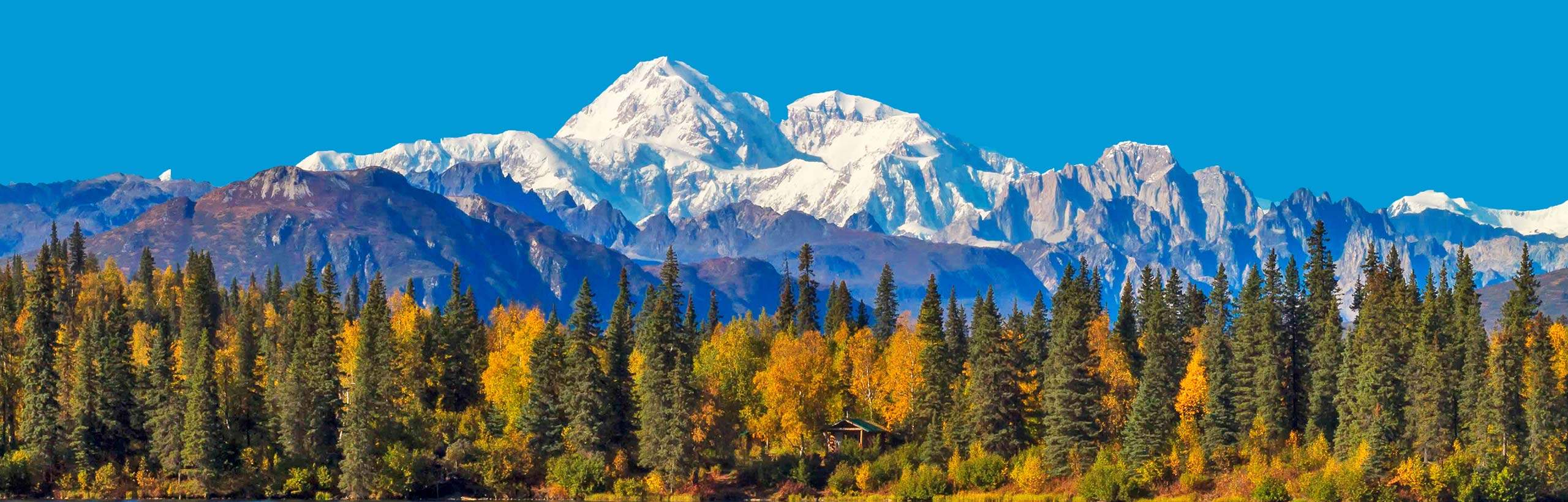 A mountain range surrounded by trees